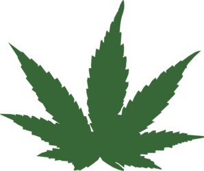Leaves marijuana leaf clip art at clker vector clip art
