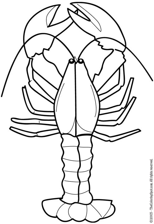 Lobster clip art free