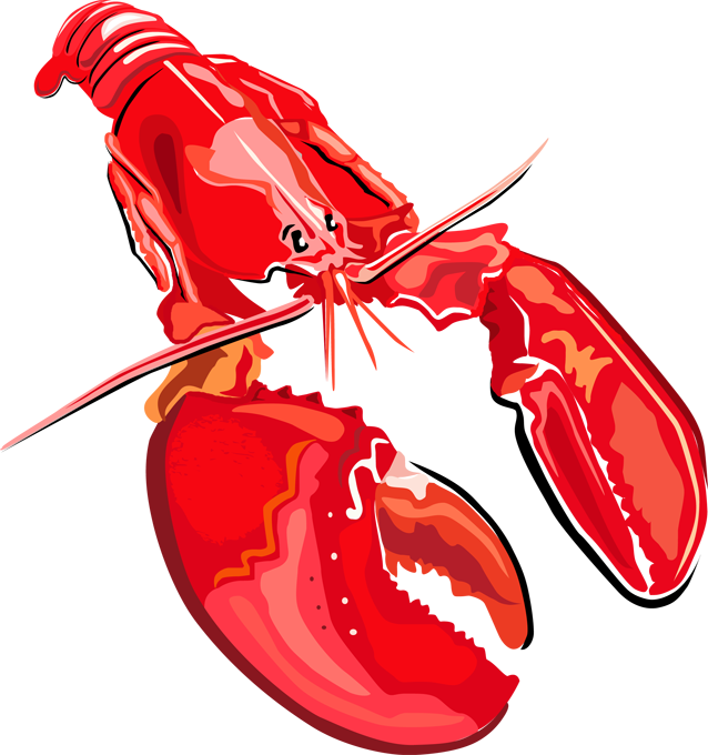 Lobster clipart 15