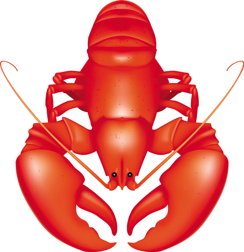 Lobster clipart 18