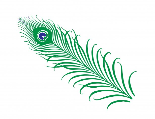 Peacock feather clipart free stock photo public domain pictures 2