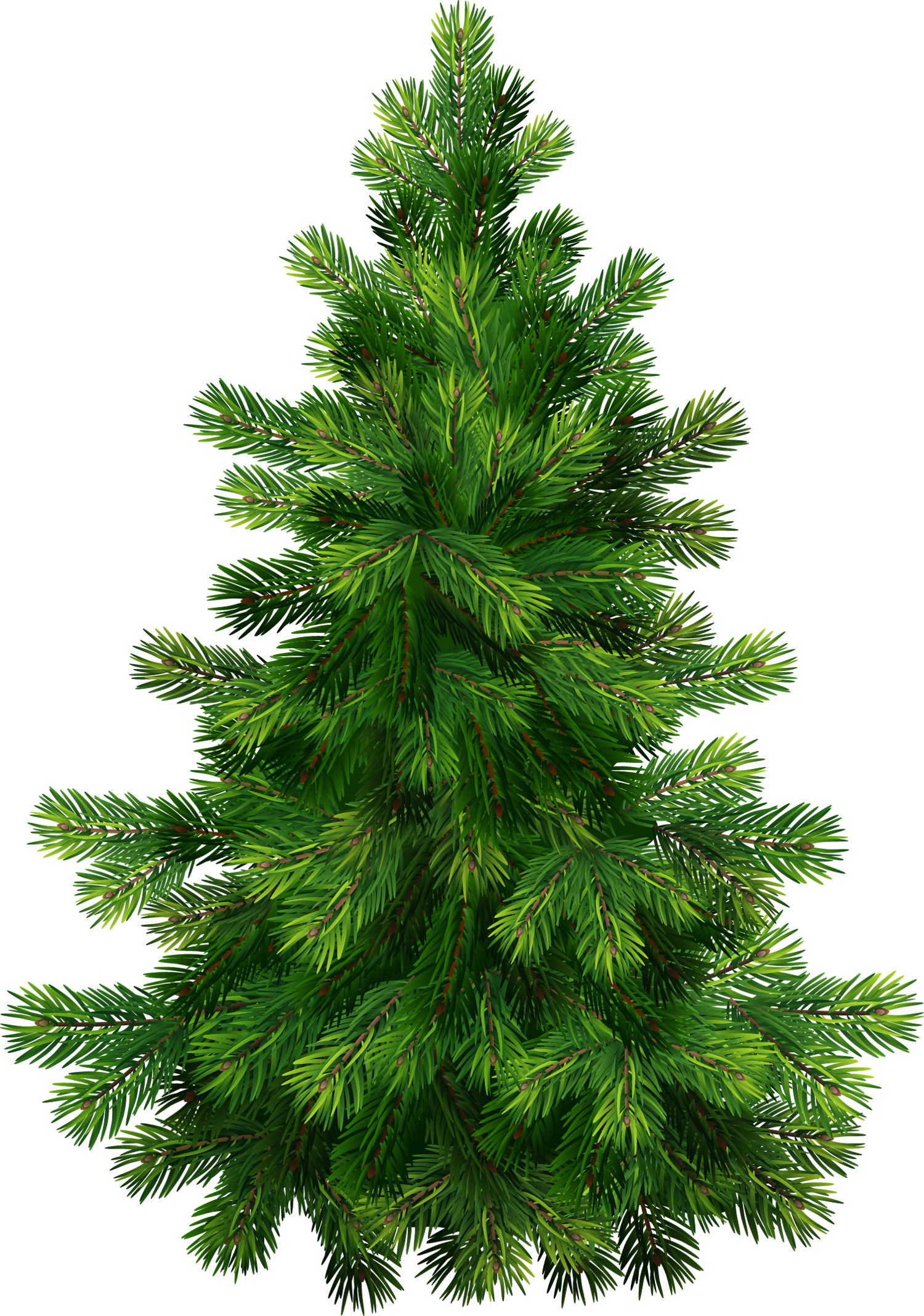 Pine tree clip art 3 image 2