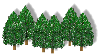 Pine tree clip art 3 image