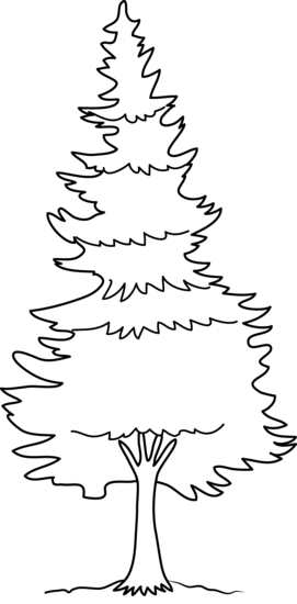 Pine tree clip art at vector clip art image 2