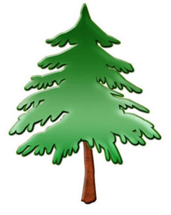 Pine tree clipart free clipart images 6
