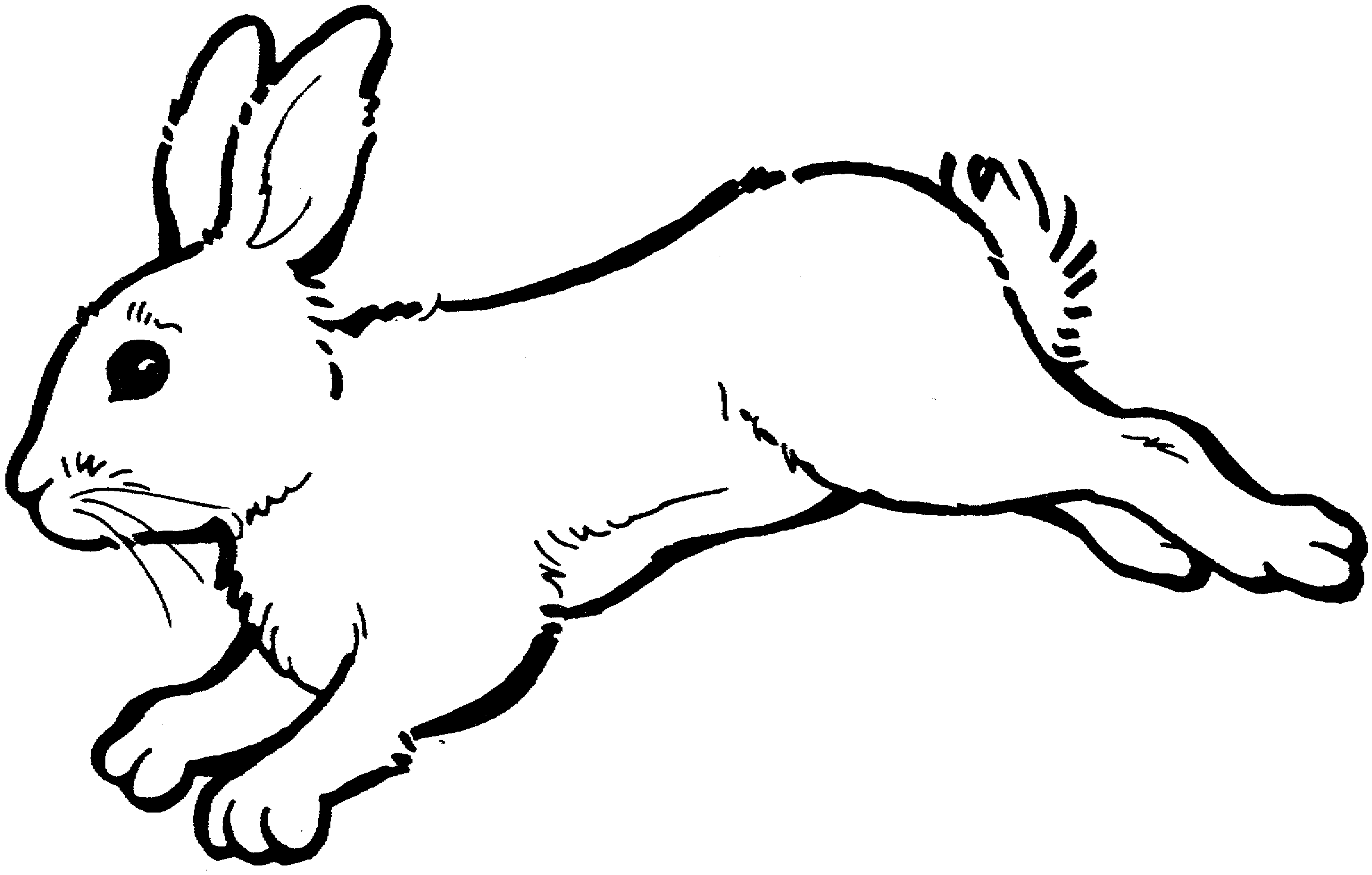Rabbit bunny clipart black and white free clipart images 2