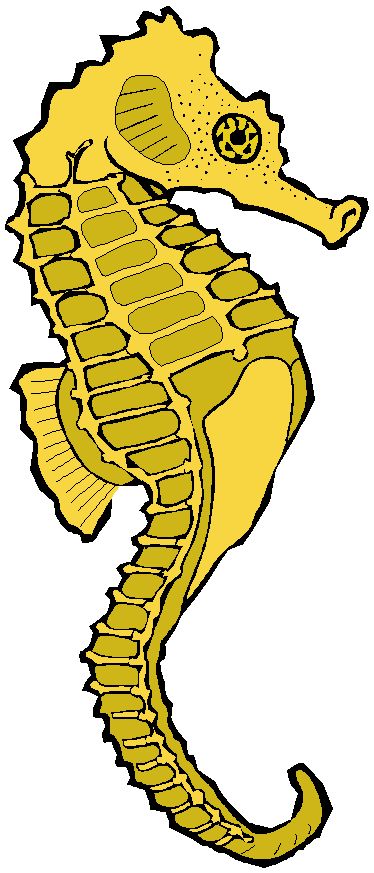 Seahorse google image result for clipartblog clipart pics