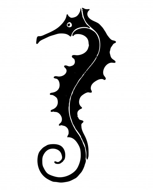 Seahorse sea horse clip art image 5 4