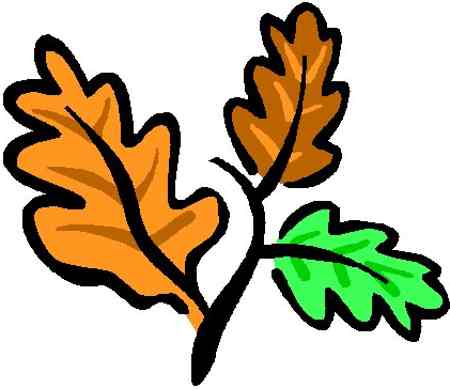 Set of leaves clipart clipartcow 2