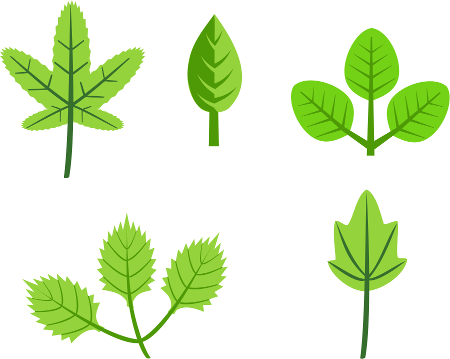 Set of leaves clipart clipartcow