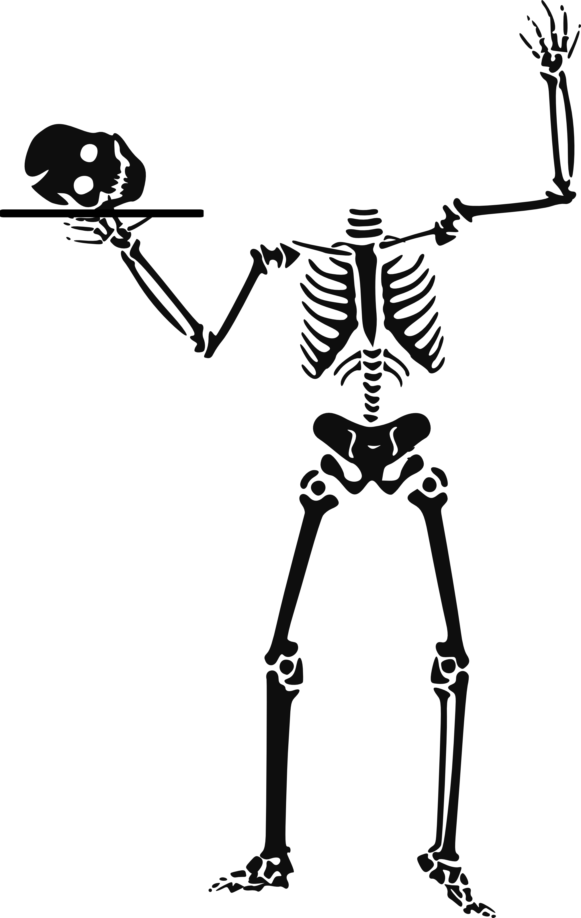 Skeleton clip art clipart image clipartcow