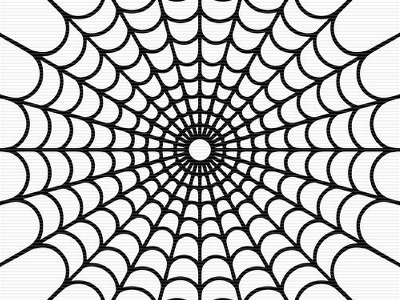 Spider web clipart 4