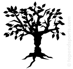 Family tree clipart free clipart images 5