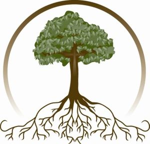Family tree free rf clipart a mature green tree with