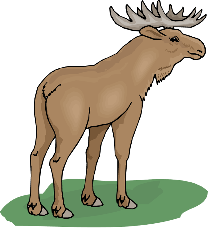 Free moose clipart 5