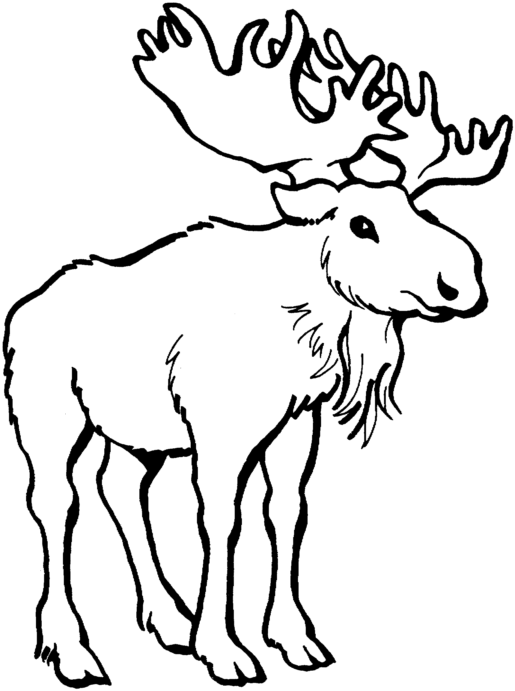 Free moose clipart the cliparts