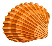 Free seashells clipart free clipart images cliparts and others