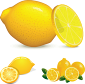 Image lemon food clip art christart - Clipartix