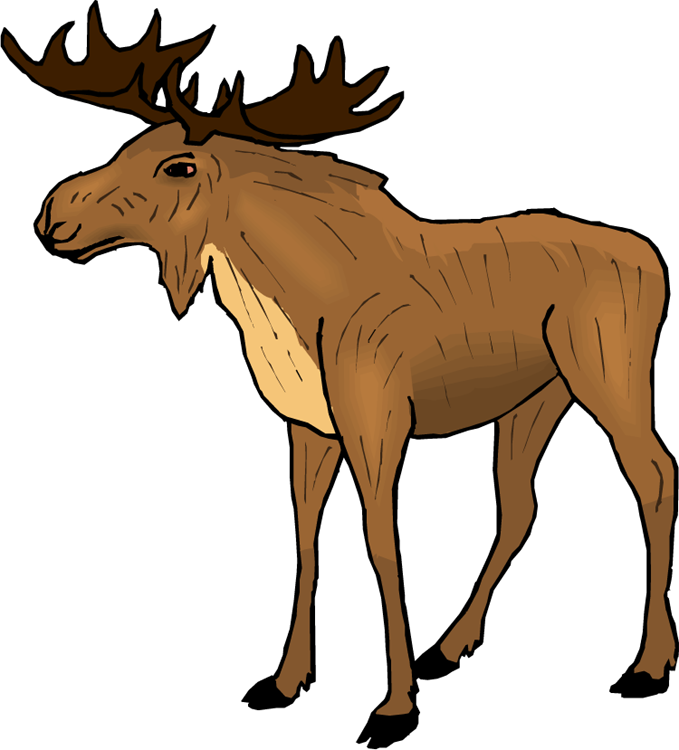 Moose clipart cartoon free clipart images