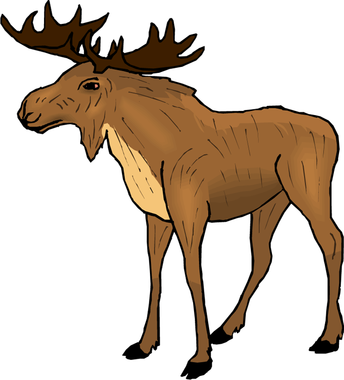 Moose Clipart Backgrounds
