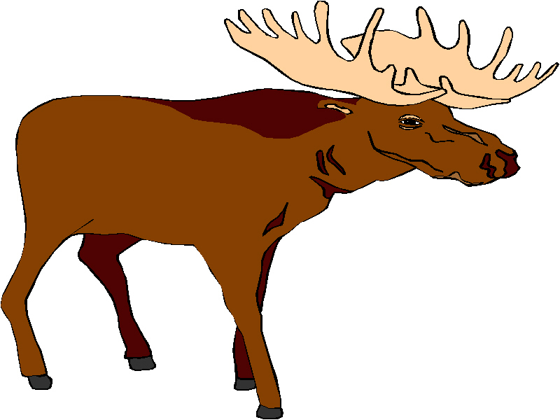 Moose free luau clip art image 9