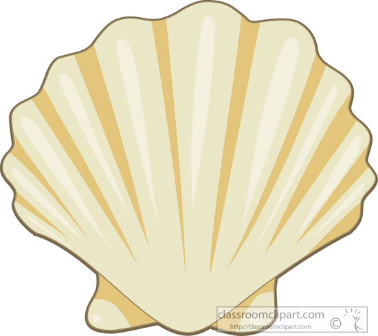 Search results search results for seashells pictures graphics cliparts