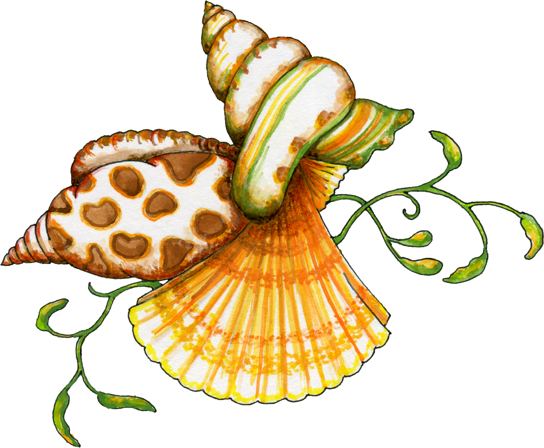 Seashell clip art borders free free clipart images 4