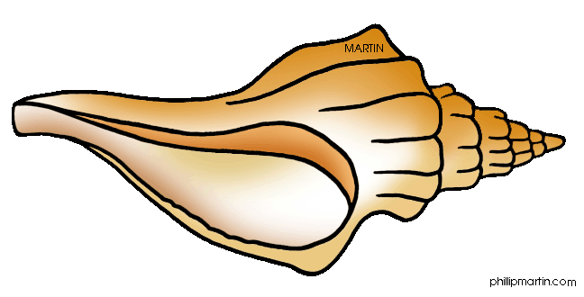 Seashell cliparts 2