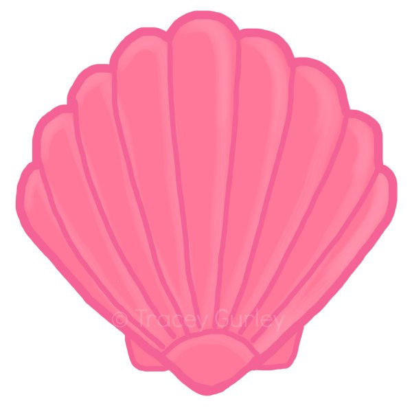 Seashell free sea shell clip art free vector for free download - Clipartix