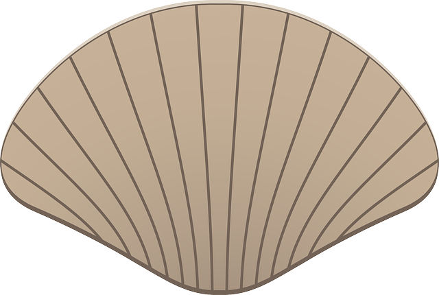 Seashell free to use clip art