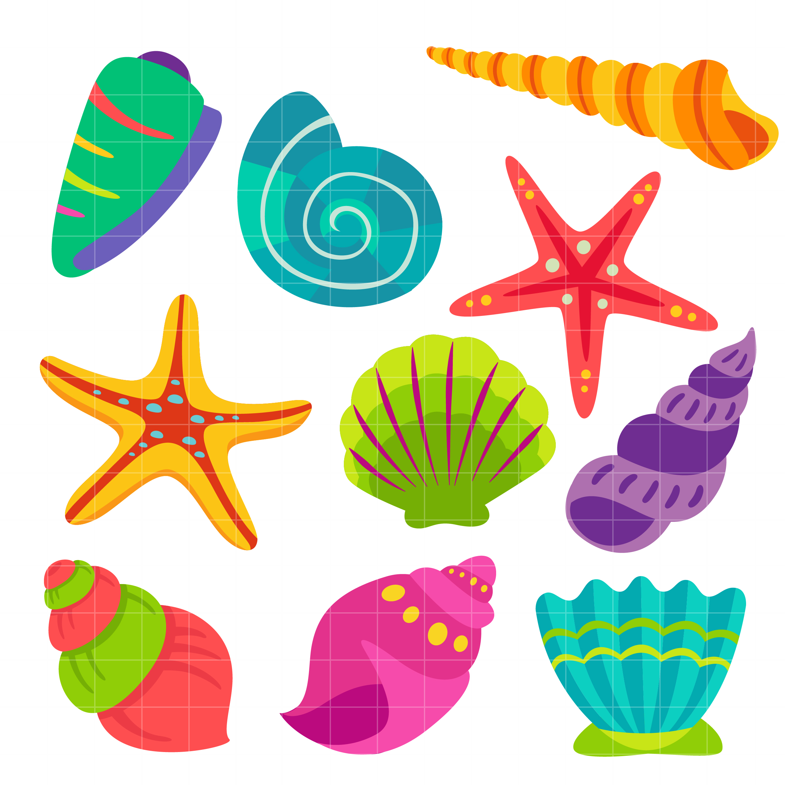 Seashell sea shell clip art clipart image