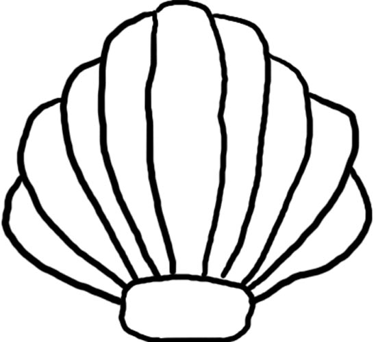 Seashell sea shell clip art image 2