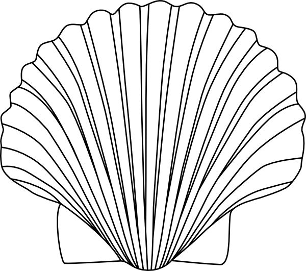 Seashell shell clip art black and white sea shell clipart shells clipart