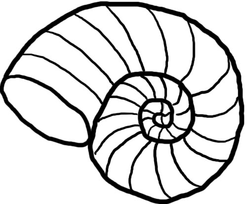 Seashell shell clip art free black and white free clipart image