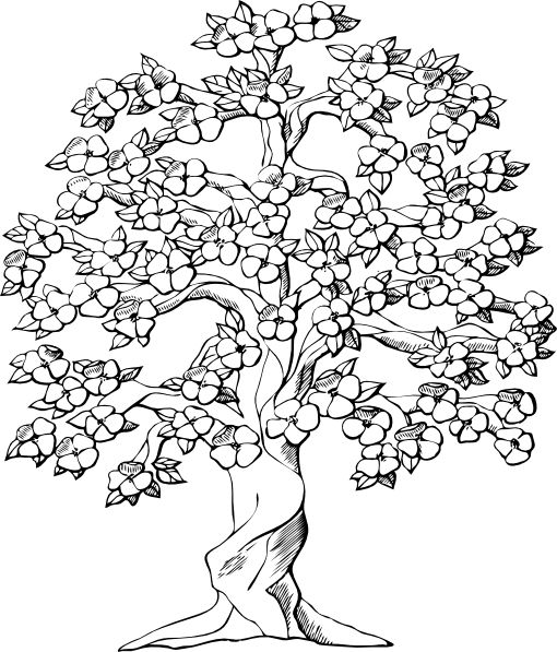 Tree clipart large family tree clip art vector clip art