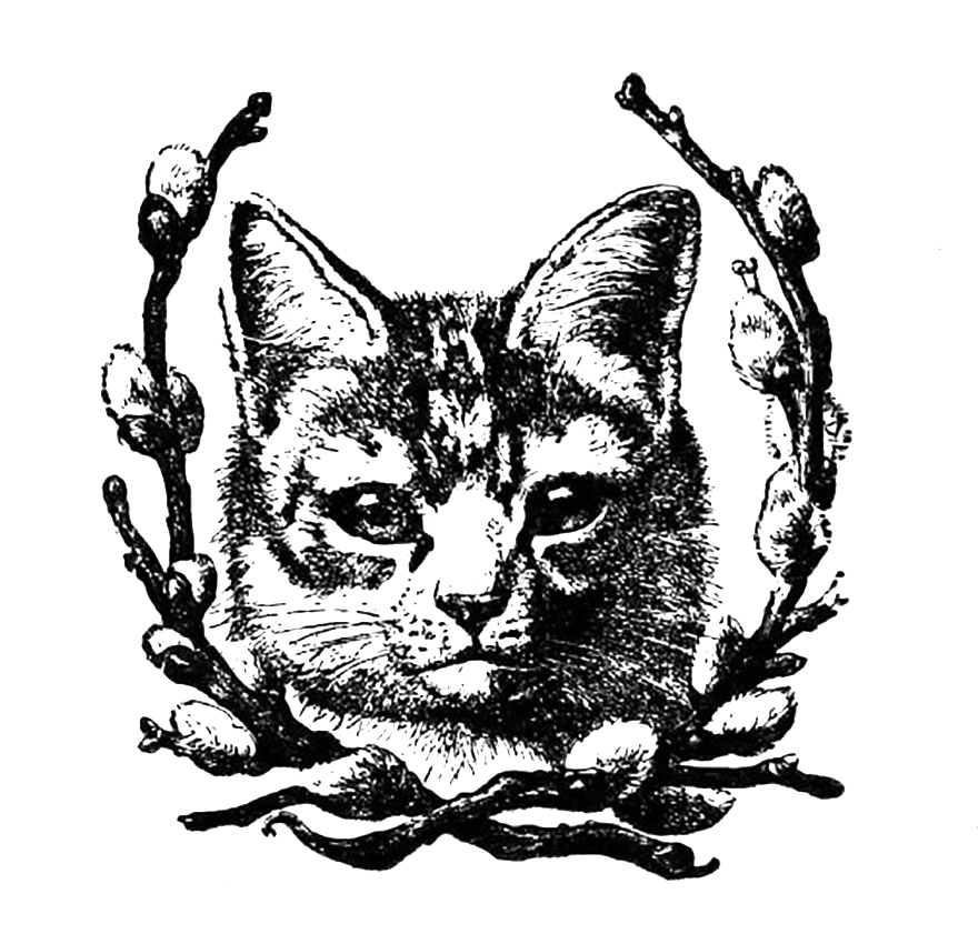 Vintage cat clip art dromgfd top clipartcow