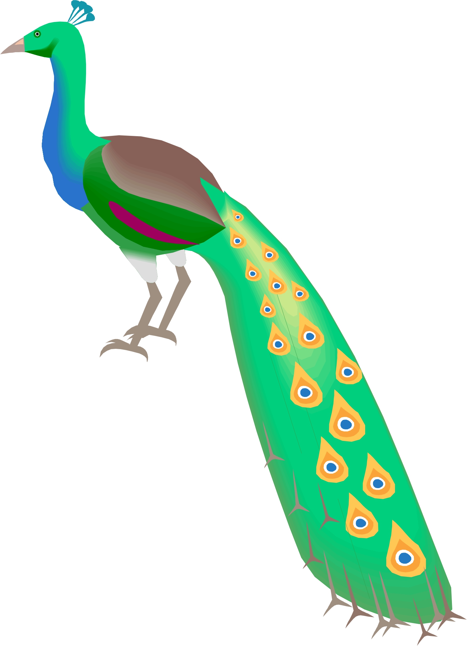 Cartoon peacock clipart