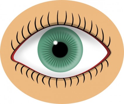 Eyes blue eye clip art free vector in open office drawing svg svg