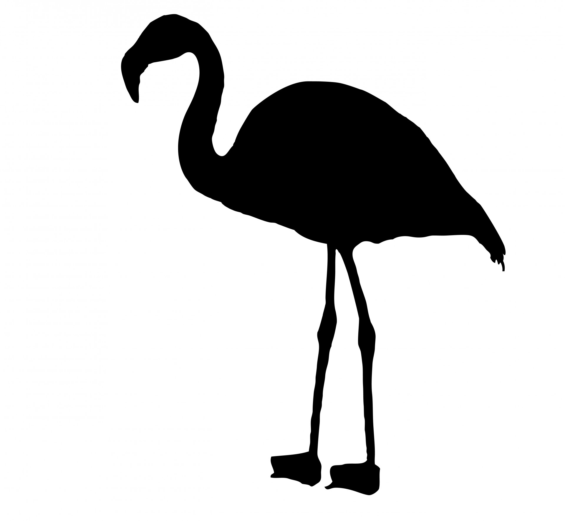 Flamingo bird silhouette clipart free stock photo public domain