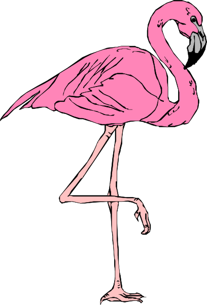 Flamingo clip art free free clipart images 5