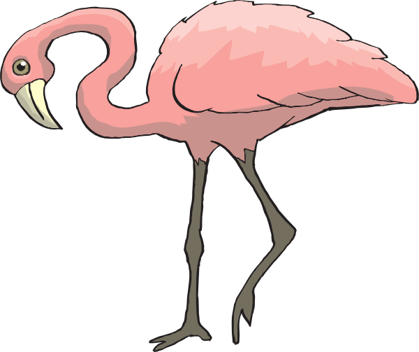 Flamingo clip art free free clipart images 7