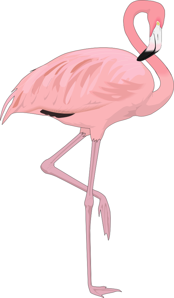 Flamingo free to use clipart 2