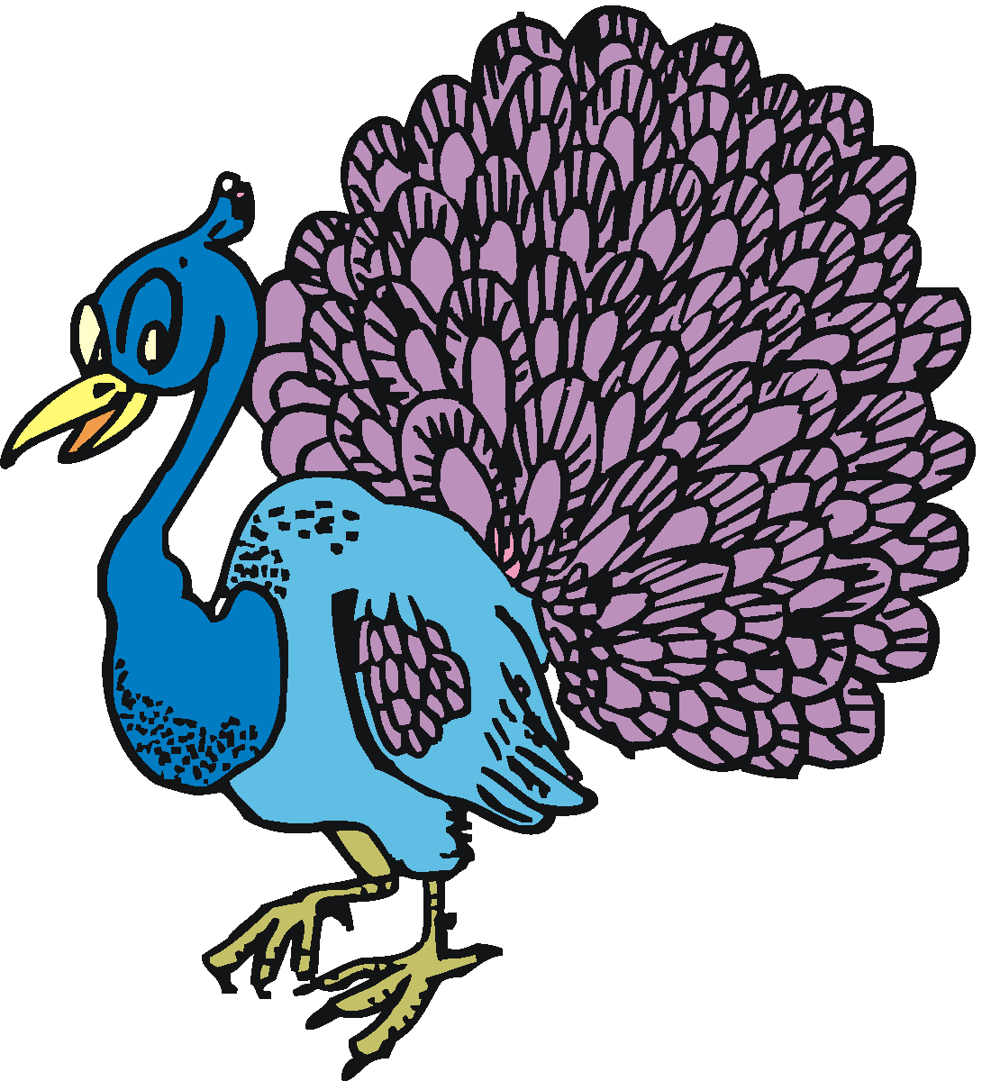Free peacock clipart 3