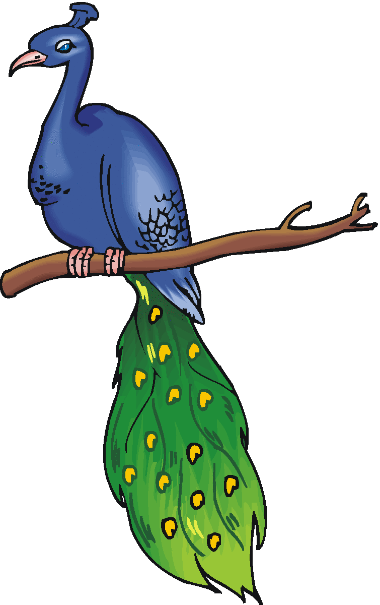 Free peacock clipart 4