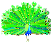 Peacock clip art free vector in open office drawing svg svg - Clipartix