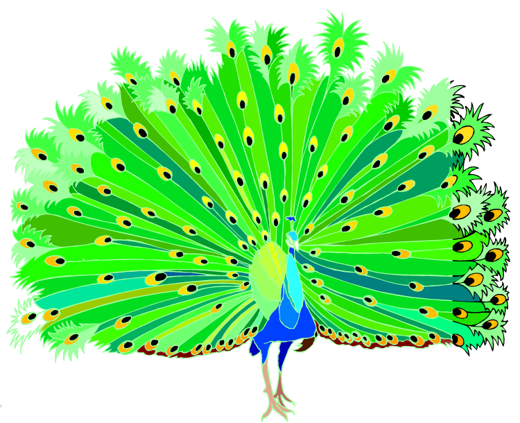 Free peacock clipart 5