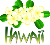 Hawaiian flower clip art borders free clipart images – Clipartix