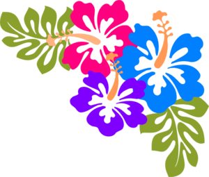 Hawaiian flower clip art borders free clipart images 2
