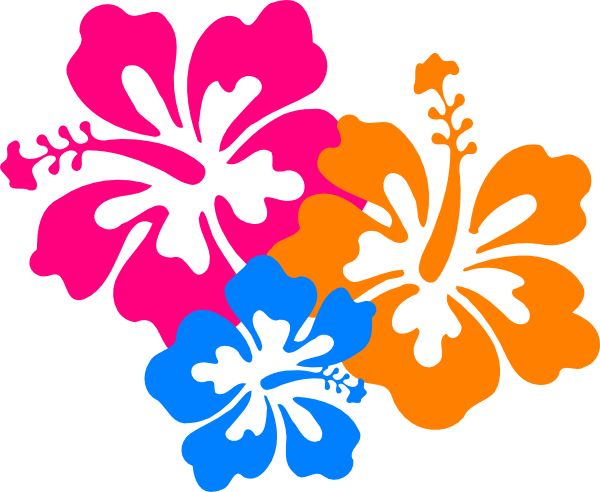 Hawaiian flower clip art borders free clipart images 4