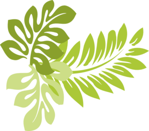 Hawaiian leaf clipart